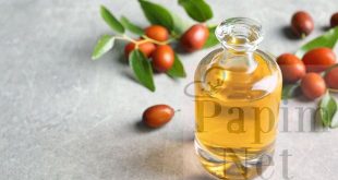 Jojoba Yağı Nedir, Ne işe Verim ve Bereketleri Nelerdir?